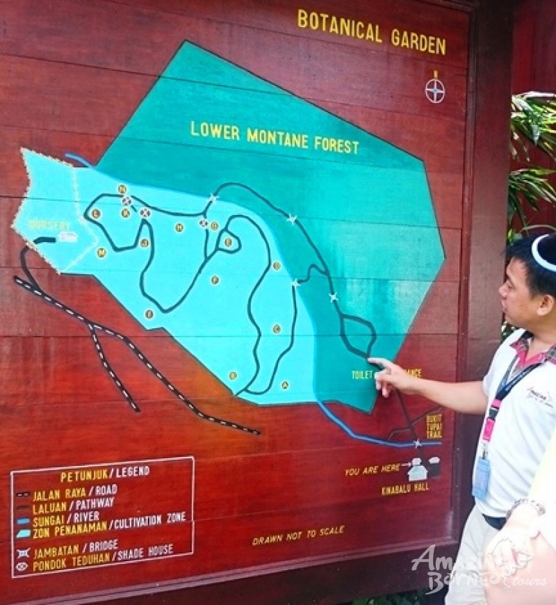 2D1N KINABALU PARK & PORING HOT SPRING TOUR